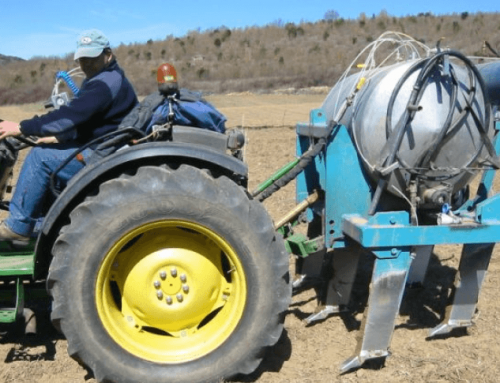 Tecniques per inoculació de tòfones en camps davellaners