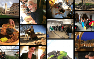 ¡el Barcelona Truffle Tour empieza en pocas semanas!