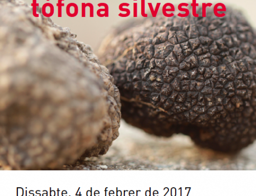 Nuevas jornadas y cursos de truficultura