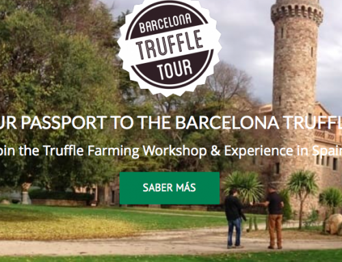 Abiertas las inscripciones para las nuevas ediciones del Barcelona Truffle Tour 2017-18