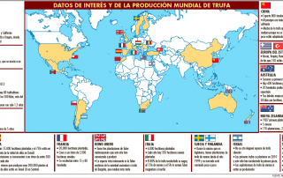 cultivo trufas en el Mundo segun micofora