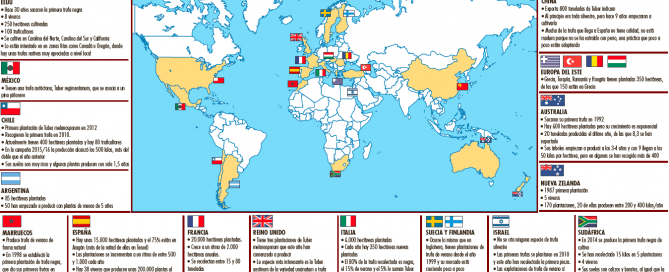 cultivo trufas en el Mundo segun micofora