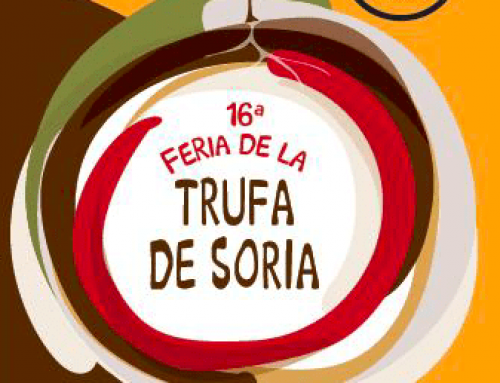 Cursos de truficultura y próximas Ferias de Trufa