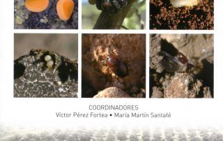 plagas y enfermedades de árboles truferos