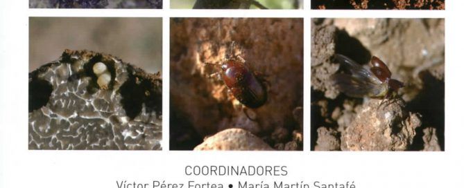 plagas y enfermedades de árboles truferos