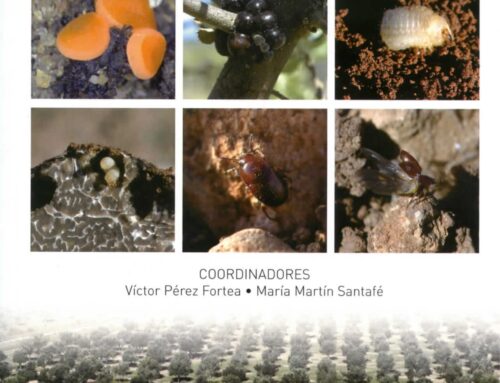 Nuevo libro: plagas y enfermedades en trufas y encinas truferas