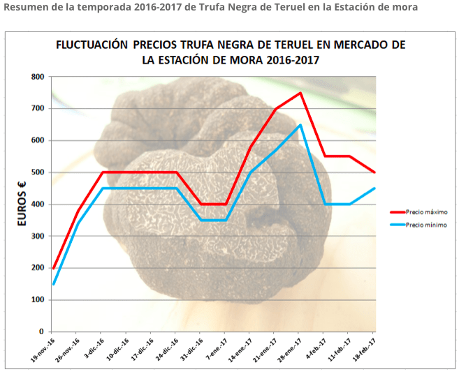 precio trufa en Teruel España 2017