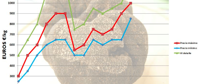 precios trufa negra Teruel España 2018