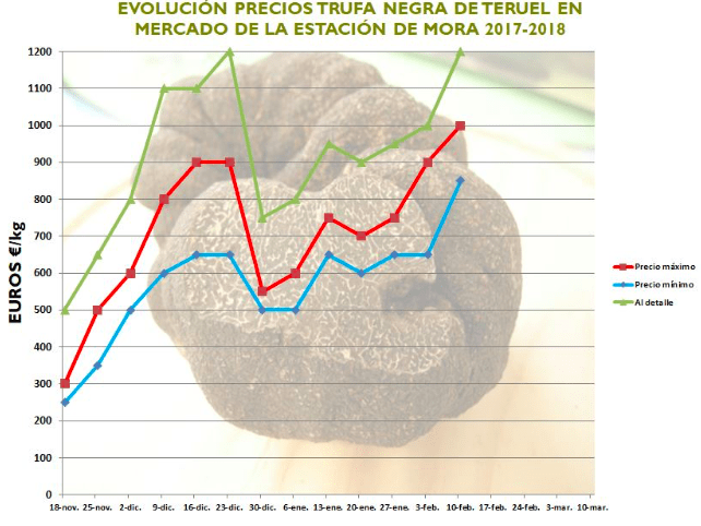 precios trufa negra Teruel España 2018