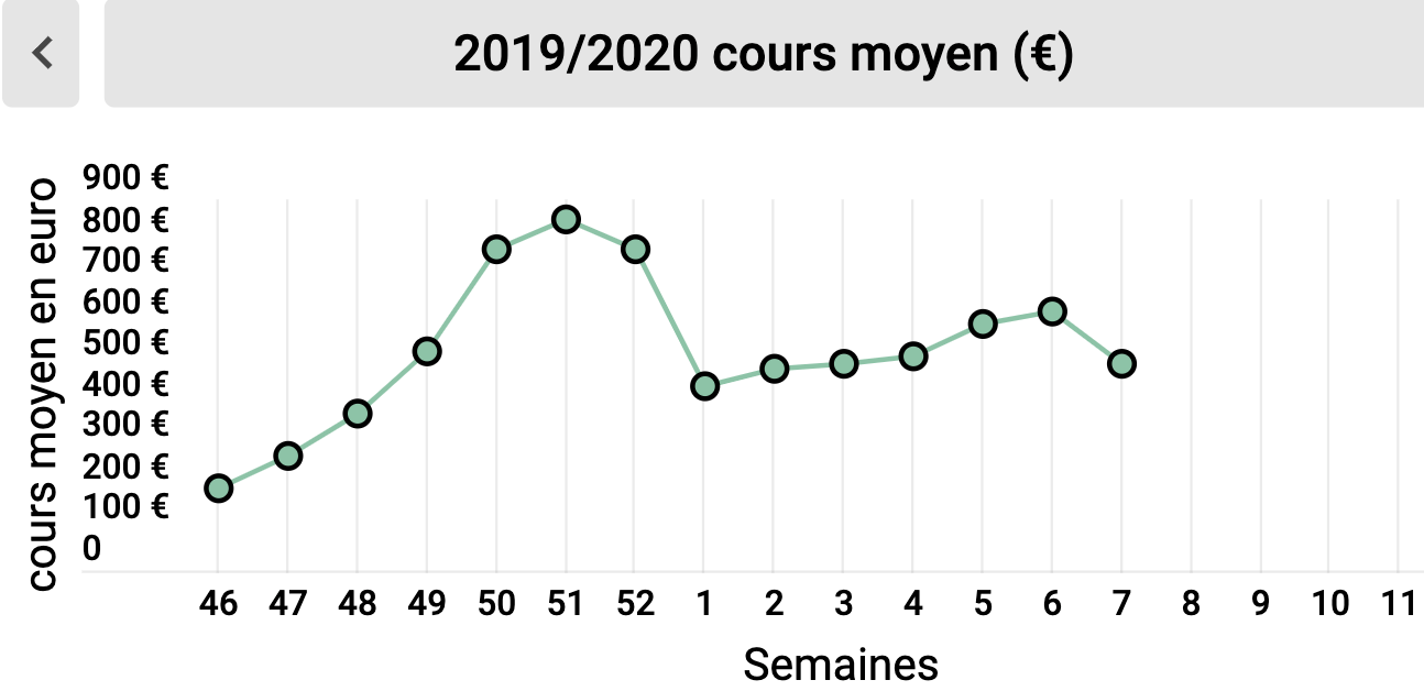 precios mercado trufas Carpentras Francia
