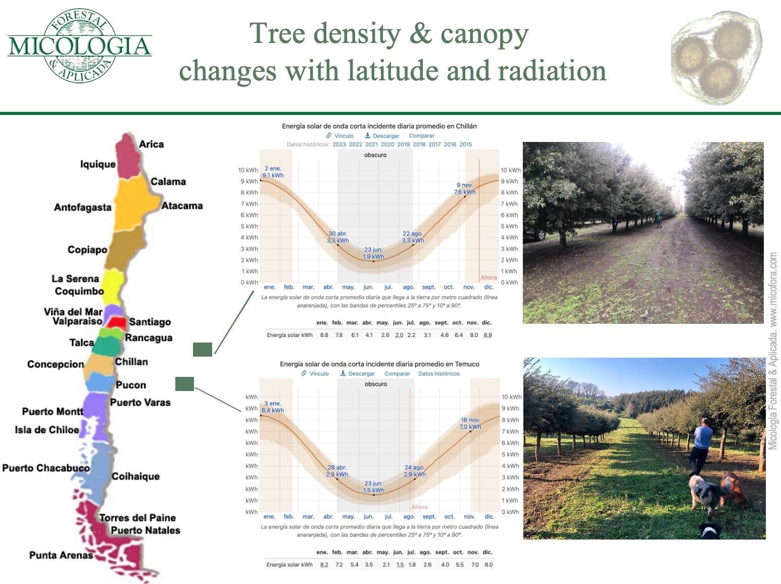 trufas chile en funcion radiación Morcillo et al 2023