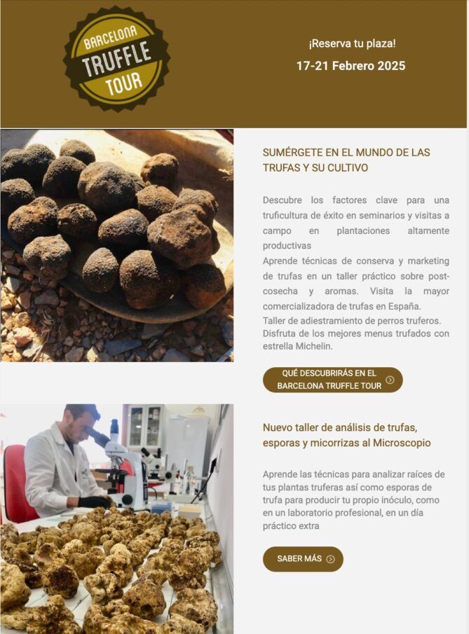 cursos-de-truficultura-en-Espana-Barcelona-truffle-tour-669x905.jpg