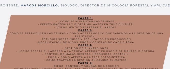 charlas trufa Calamocha octubre 2024 Marcos Morcillo micofora