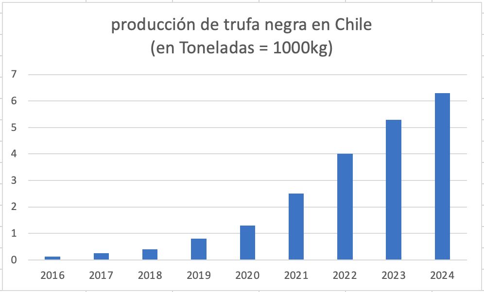 Evolución de la producción de trufa negra en Chile en toneladas anuales.
