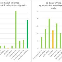 Efecto bacterias micofora Truf-Up en la concentración de micelio de trufa negra en suelo