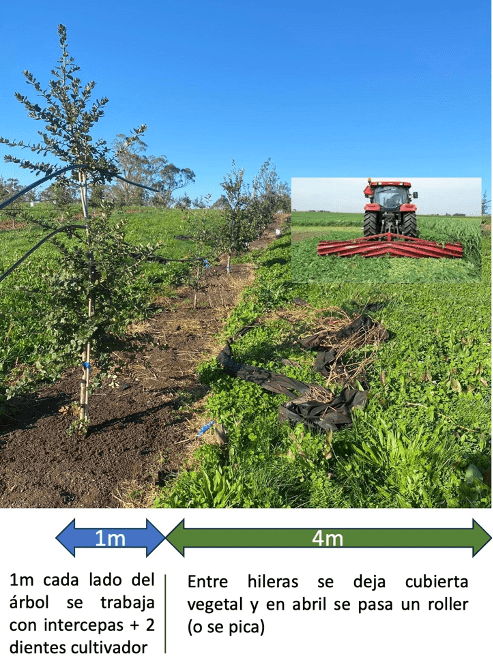 truficultura regenerativa