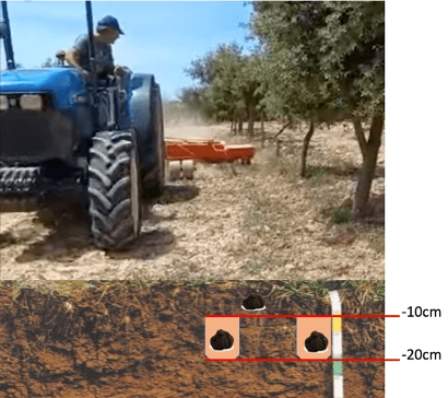 grada rotativa sobre zona productora de trufas