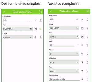 GPS_formulario_francés