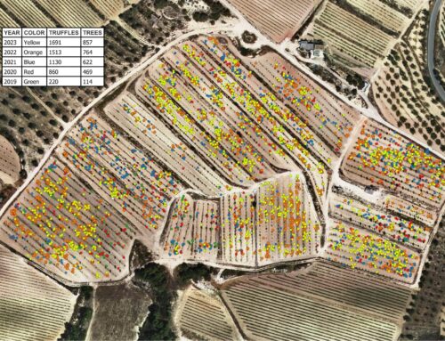 Crea mapas de producción de trufas de tu plantación trufera