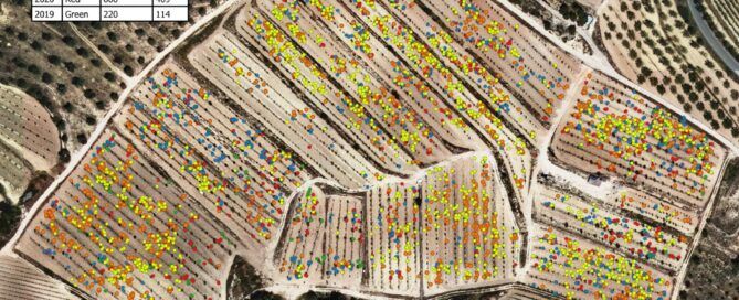 mapas de cosecha de trufas micofora
