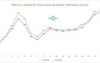 precios trufa negra España temporada 2024-2025