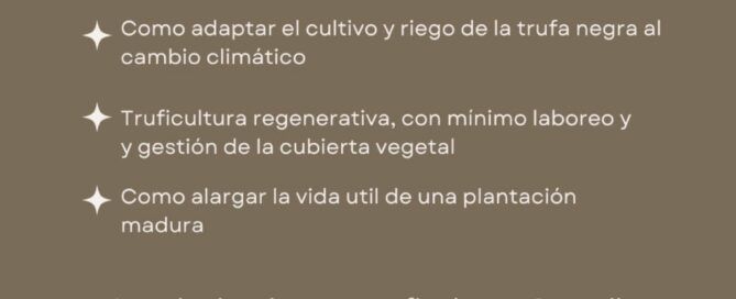 curso trufas micofora