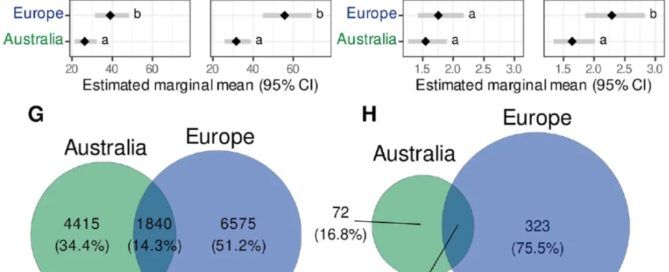 trufas Australia vs Europa