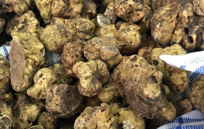 trufa blanca italiana