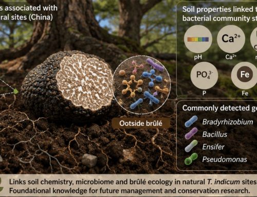 la comunidad bacteriana de trufa china (Tuber indicum) cambia con el hábitat y la química del suelo