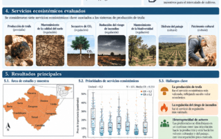 Infografía científica sobre servicios ecosistémicos, prioridades y barreras percibidas en sistemas productores de trufa negra en España