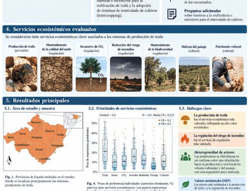 Qué valoran los actores del sector en las plantaciones de trufa negra: producción, prevención de incendios y diversificación