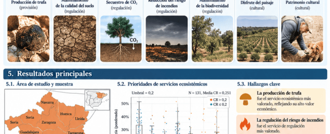 Infografía científica sobre servicios ecosistémicos, prioridades y barreras percibidas en sistemas productores de trufa negra en España