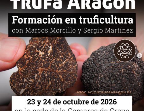 Nuevo curso de Truficultura en Graus-Huesca Octubre 2026