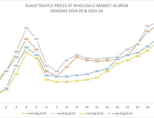 how has been 2026 black truffle season in Spain and southern hemisphere countries