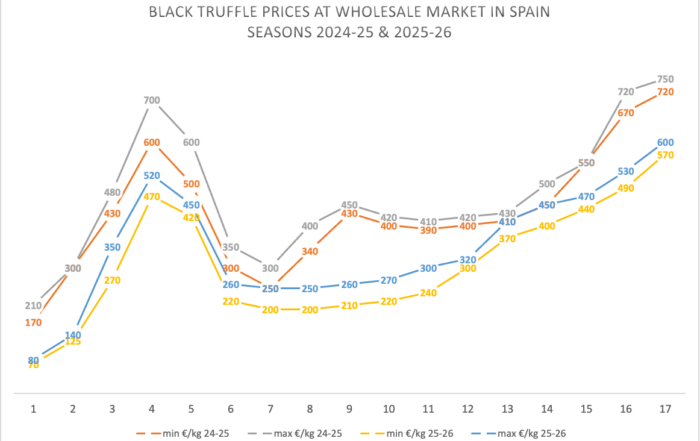 truffle prices in Spain 2025-2026